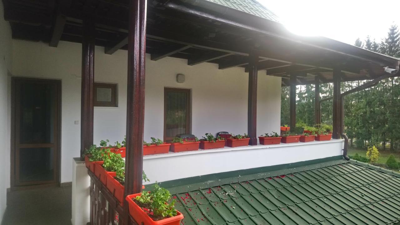 בית הארחה Minastirea Neamt 	Casa "Ierusalim-Hozeva-Hozeva" מראה חיצוני תמונה